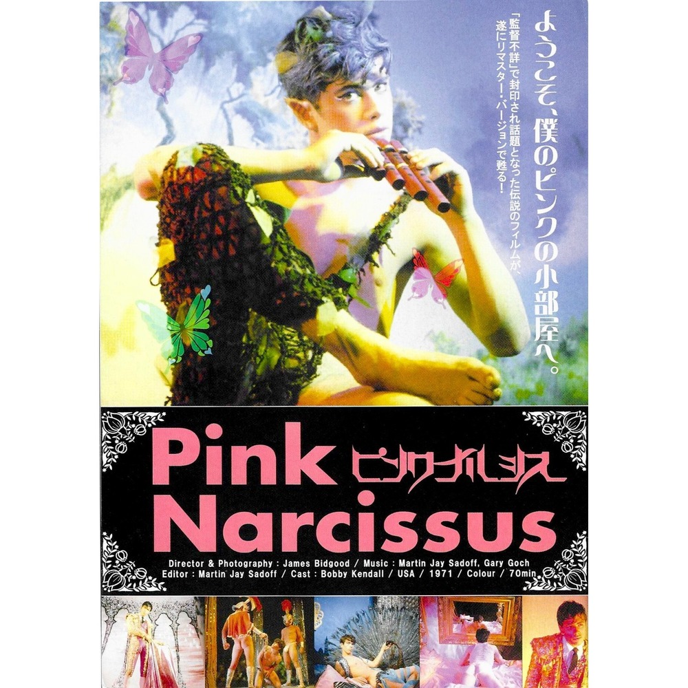 Pink Narcissus 1972 (B) Flyer Mini Poster Japanese B5 Chirashi James Bidgood